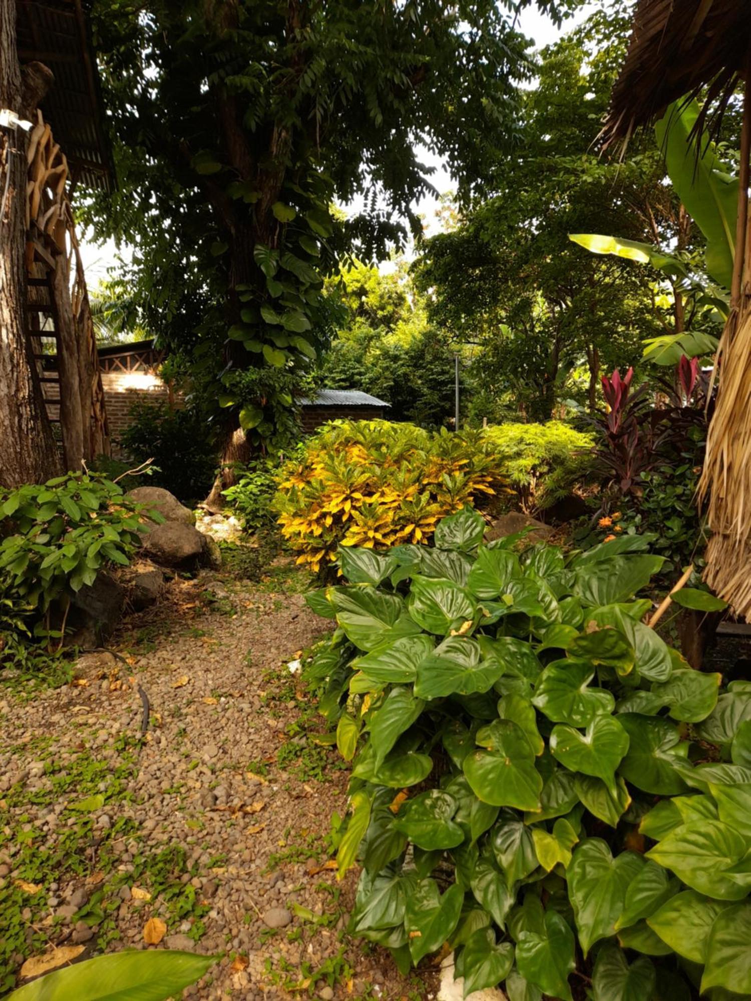 El Bamboo Cabins Balgue Ngoại thất bức ảnh