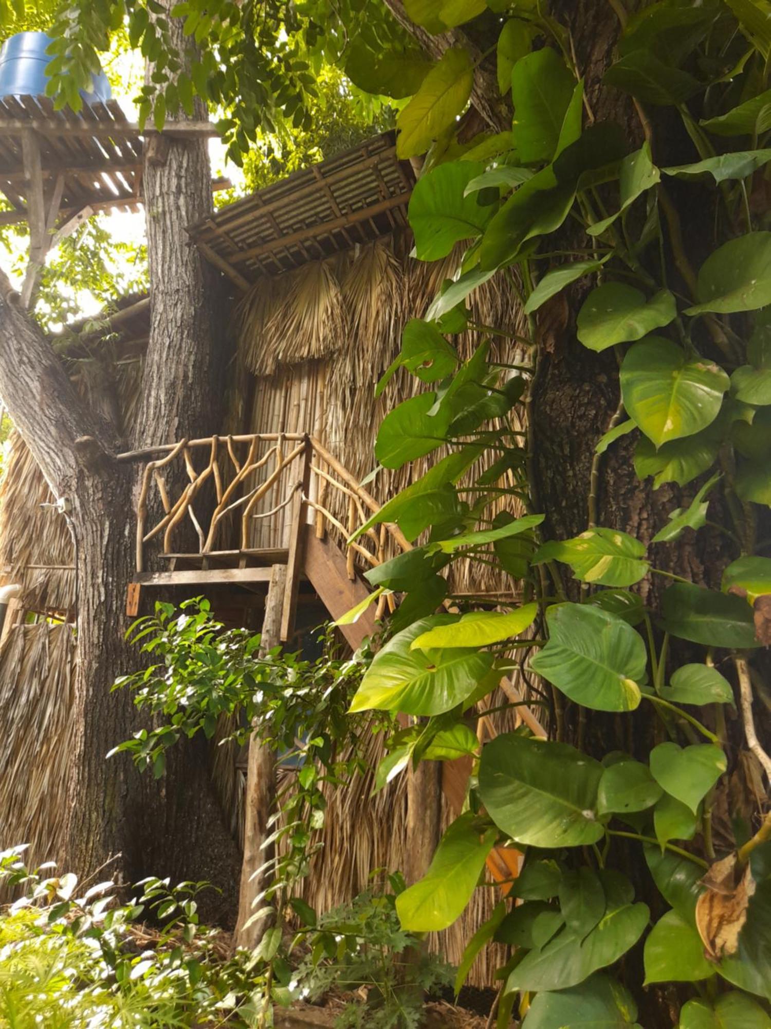 El Bamboo Cabins Balgue Ngoại thất bức ảnh