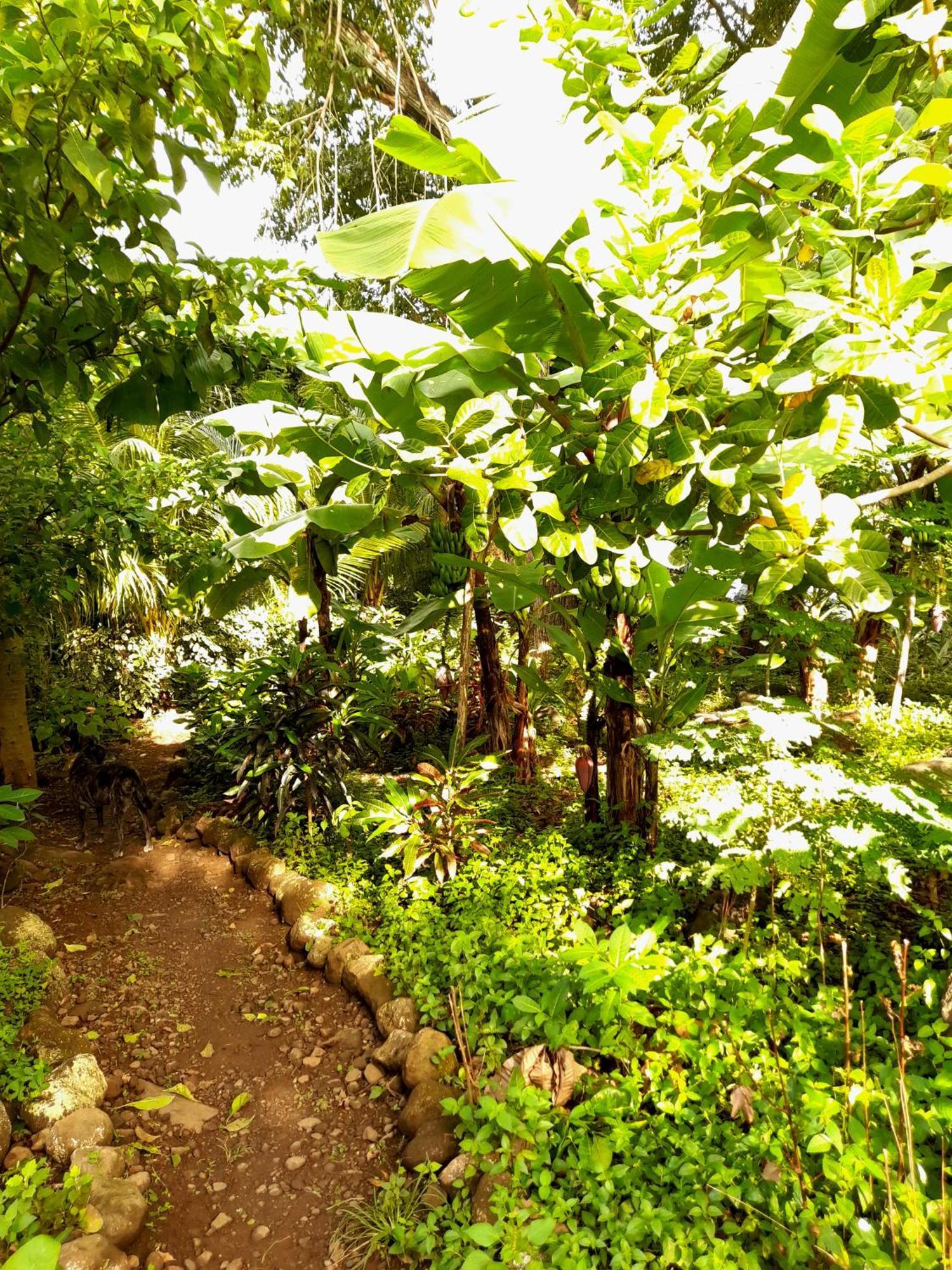 El Bamboo Cabins Balgue Ngoại thất bức ảnh