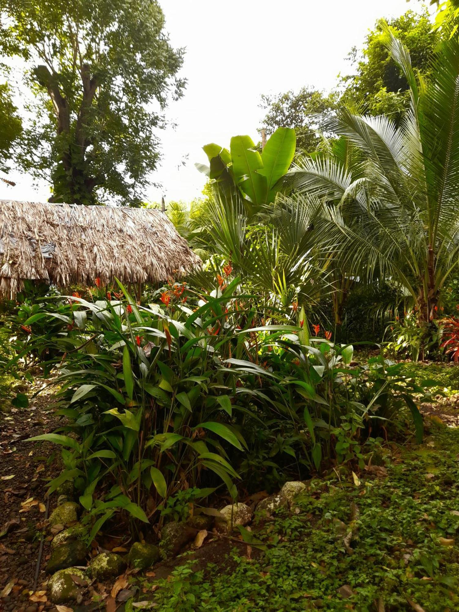 El Bamboo Cabins Balgue Ngoại thất bức ảnh
