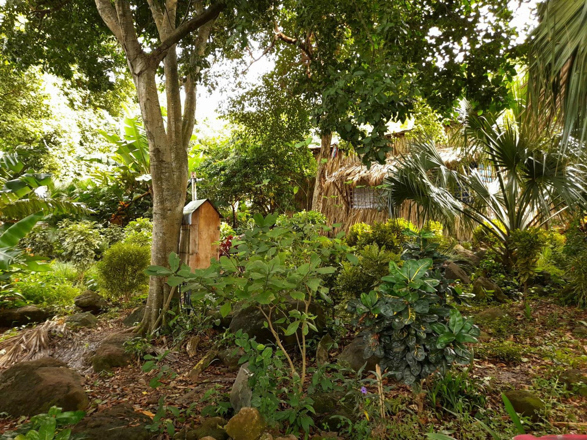 El Bamboo Cabins Balgue Ngoại thất bức ảnh
