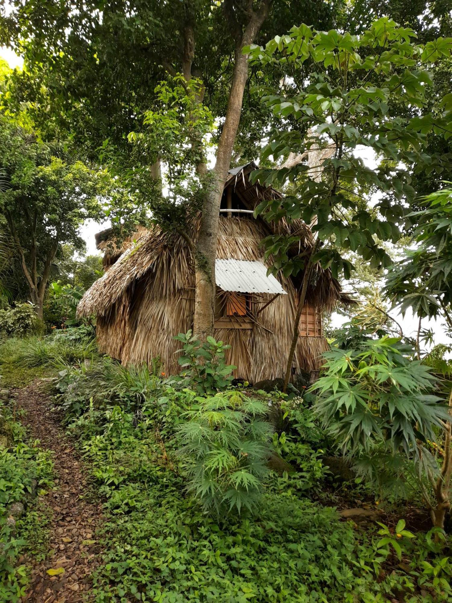 El Bamboo Cabins Balgue Ngoại thất bức ảnh